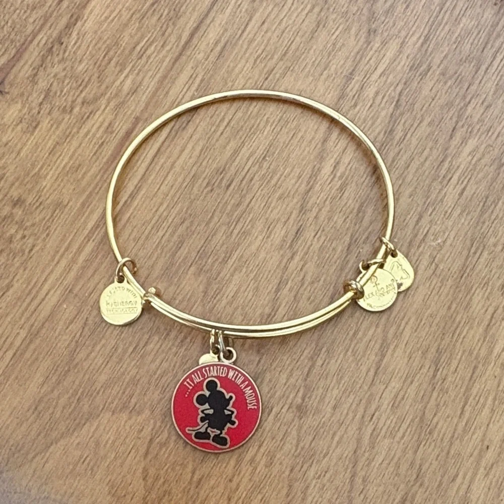 Alex and Ani “it all started with a mouse” bangle